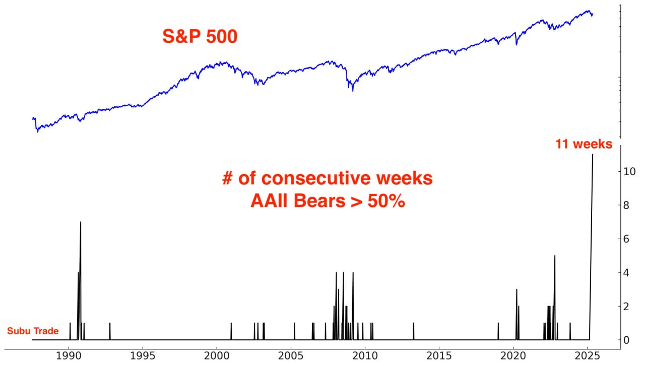 Медведи не сдаются!